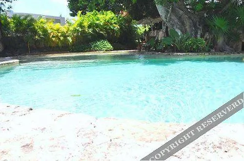 H2O By Vimex Hotel Playa del Carmen
