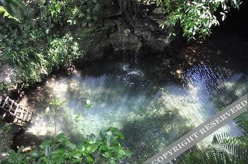 H2O By Vimex Hotel Playa del Carmen